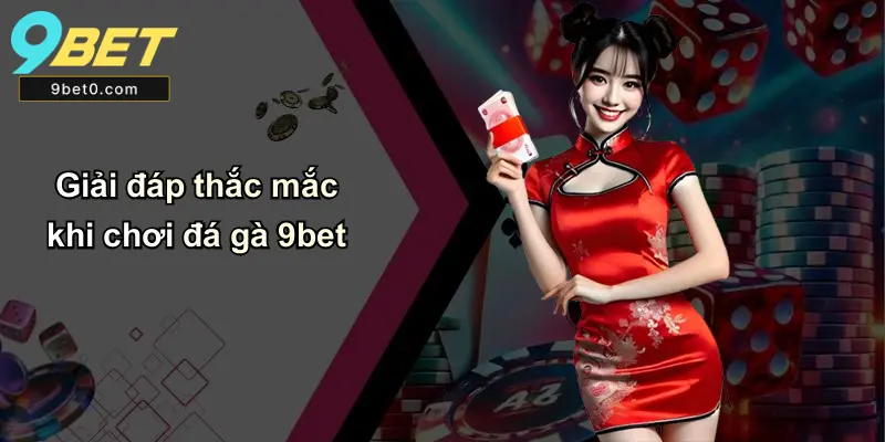 Giải đáp thắc mắc khi chơi đá gà 9bet