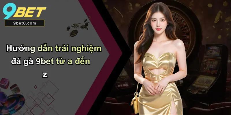 Hướng dẫn trải nghiệm đá gà 9bet từ a đến z