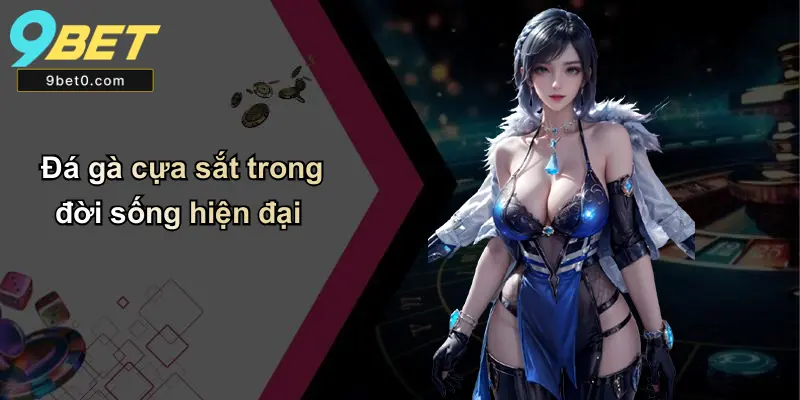 Đá gà cựa sắt trong đời sống hiện đại