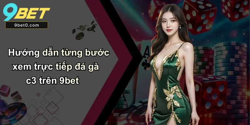 Hướng dẫn từng bước xem trực tiếp đá gà c3 trên 9bet